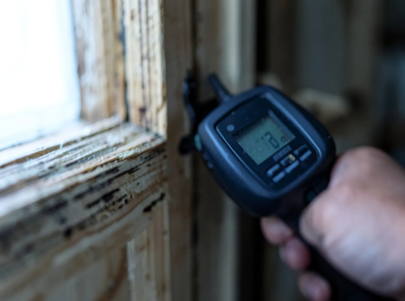 Moisture Inspection And Documentation in Neville, OH